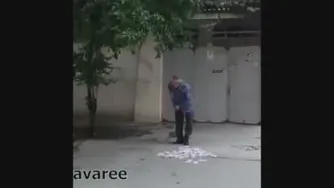 دوربین مخفی