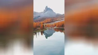 حس ناب