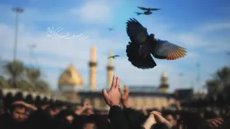 مداحی خدا رو شکر محرمتو دیدم دوباره اقاجون از حاج محمود کریمی