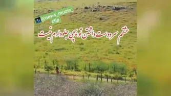 کلیپ عاشقانه خودمونیم از پویا بیاتی
