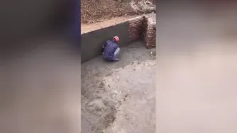 خلاقیت