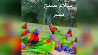 حس خوب