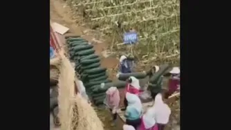 خیار های اونا!!!😂😂😂😯