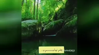 دوستان آمده ام باز...