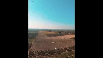 جهان زیبا-قسمت پانزدهم