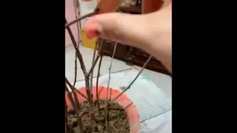 جهان زیبا-قسمت اول