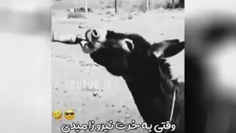 وقتی به خر نیرو زا میدی