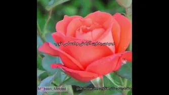 مسیر