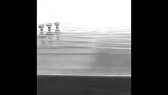 شب به گلستان🍃