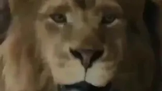 خودت رو باور کن