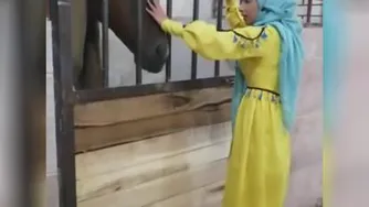 دوستی با حیوانات