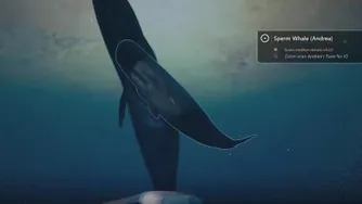 Beyond Blue - Launch Trailer _ PS4 ( 720 X 720 )