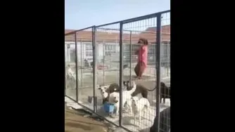فرار از زندان