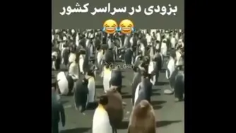 وقتی جواب کنکور میاد😂🤣
