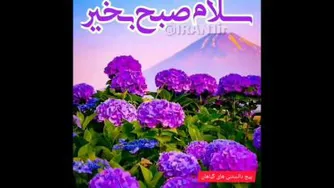 شاد