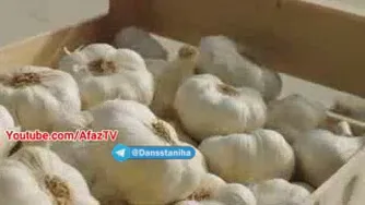 معجزه سیر