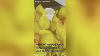 حکمت سی ام نهج البلاغه