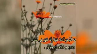 حکمت26نهج البلاغه:رفتارشناسی