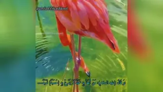 حکمت بیست وسوم نهج البلاغه