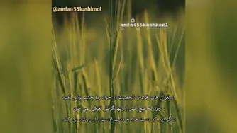 حکمت بیستم نهج البلاغه