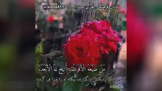 حکمت چهاردهم نهج البلاغه