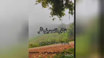 حکمت سیزدهم نهج البلاغه