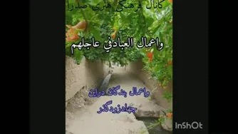 حکمت هفتم نهج البلاغه