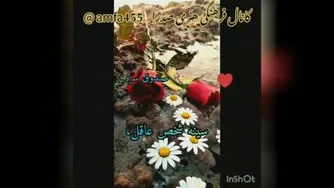 حکمت ششم نهج البلاغه
