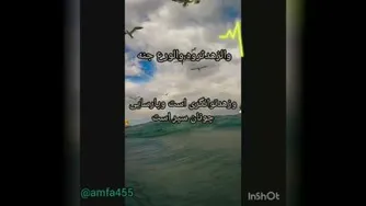 حکمت چهارم نهج البلاغه