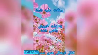 حکمت دوم نهج البلاغه