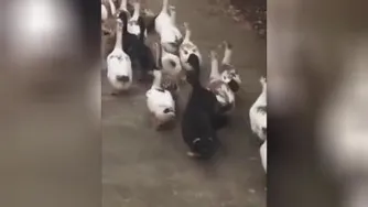 همیشه یکی هست توجمع ک بابقیه فرق داره😂