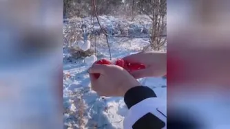 منتظرم برف بیاد اینکارو بکنم😍