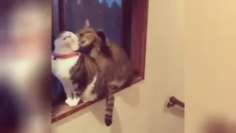 زیادی ک ناز میکنه😍😂