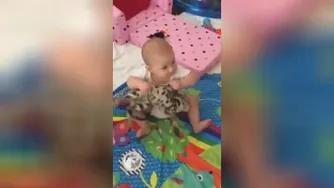 ببینید بچه چیکار کرد با طفلی گربه😑😣