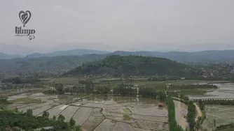 مجموعه مرسانا