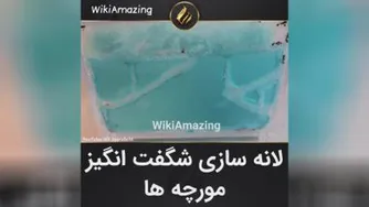 لانه سازی شگفت انگیز مورچه ها❤❤❤