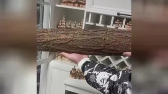 هنر نمایی روی چوب با ظرافت خاص
