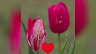 خدایا شکرت