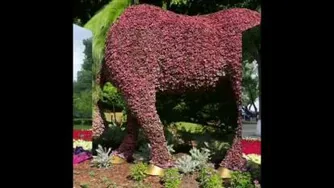 زیبایی های خدا