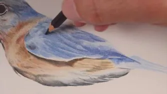 نقاشی پرنده با مداد  رنگی