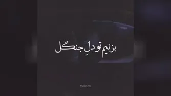 کلیپ های عاشقانه