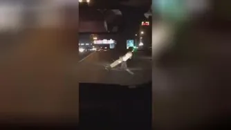 اعتمادبه نصب