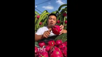 میوه های عجیب ازچشم بادامیها