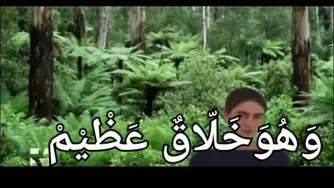 لایبری