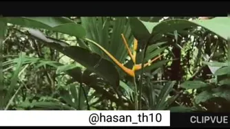 انگیزشی