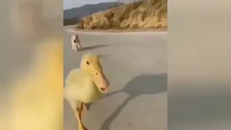 خنده ههه