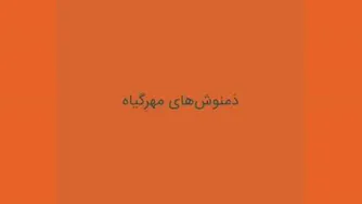 دمنوش های گیاهی و میوه ای مهر گیاه