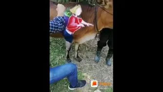 یک نقاشی استثنایی