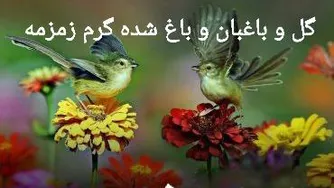 مداحی گل و باغبان و باغ شده گرم زمزمه