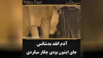 عجب دل و جراتی داشت مرده